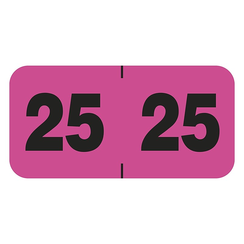 Medical Arts Press Large 2025 Year Label, 3/4" x 1-1/2", Pink, 500/Roll (3263525) image 1