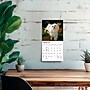 2027 BrownTrout Maltese 7" x 7" Monthly Wall Calendar (9798330710041)~#|#~12503CBA-8F7A-450D-97E0FB7E2639120A_sc7
