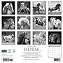 2027 Willow Creek Spirit of the Horse 12" x 12" Monthly Wall Calendar, Assorted Colors (65389)~#|#~125AA94E-A2A4-49FE-BEF70F91537BF61C_sc7
