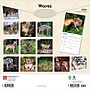 2026 BrownTrout Wolves 12" x 12" Monthly Wall Calendar (9798330706402)~#|#~125EA0A3-A9AA-4576-A66E4BED5D34B288_sc7