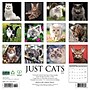 2026 Willow Creek Cats 12" x 12" Monthly Wall Calendar (50613)~#|#~12606E57-BC0D-417A-A9D6E2FC25CF63EB_sc7