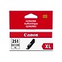 Canon 251XL Gray High Yield Ink Cartridge  (6452B001)~#|#~12816E30-799F-412E-81490D8C7771E753_sc7