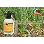 Just Scentsational by Bare Ground Garlic Scentry Repellent for Multiple Pests, Garlic Scent, 64 oz. (GAR-2L)~#|#~128355C3-B311-491D-B9825F4ADDB521EC_sc7