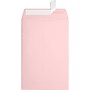 LUX 6 x 9 Open End Envelopes 50/Pack, Candy Pink (EX1644-14-50)~#|#~12B174E3-36CA-463C-8604EEF909B1609B_sc7