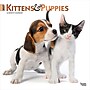 2027 BrownTrout Kittens & Puppies 12" x 12" Monthly Wall Calendar (9798330711796)~#|#~12E2F70D-4D51-4CD2-82D5CF1FC3C30674_sc7