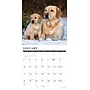 2027 Willow Creek Labs  12" x 12" Monthly Wall Calendar (60988)~#|#~12FE4054-CC90-47CE-B7F03F5AB25A6D3C_sc7