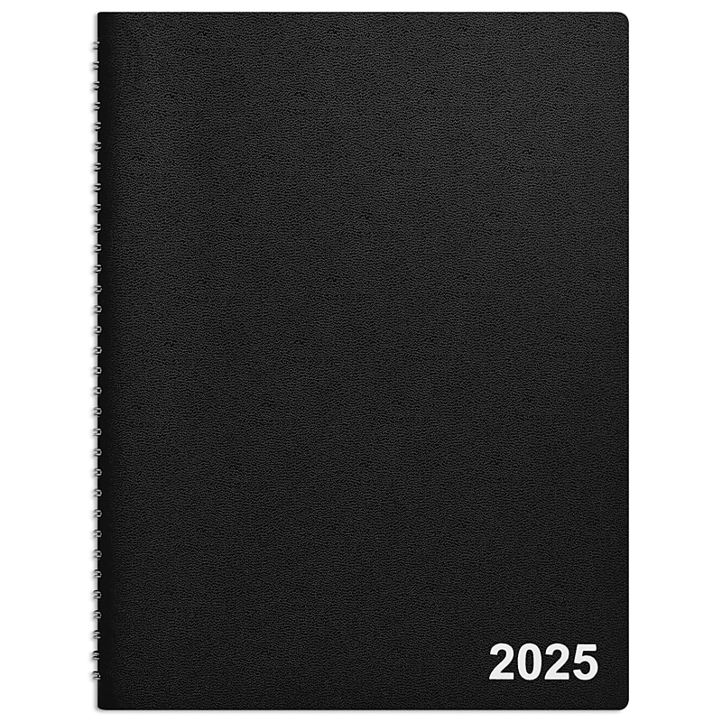 2025 Staples 8" x 11" Weekly & Monthly Appointment Book, Assorted Colors (ST12945-25) image 1