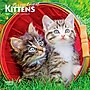 2027 BrownTrout For the Love of Kittens 7" x 7" Monthly Wall Calendar (9798330709731)~#|#~1300E6C8-E1A9-42E3-BF1E01ACCBC9932A_sc7
