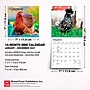 2027 BrownTrout Chickens 7" x 7" Monthly Wall Calendar, Assorted Colors (9798330709786)~#|#~13562BAC-D15C-4EC0-9131834674ACAEBC_sc7