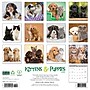 2026 Willow Creek Kittens & Puppies 12" x 12" Monthly Wall Calendar (51702X)~#|#~1383488F-34B1-4AE5-8B3CDA7BE68A752E_sc7