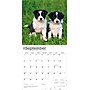 2026 BrownTrout Border Collie Puppies 12" x 12" Monthly Wall Calendar (9798330702541)~#|#~13AD4631-1C71-4A3B-B65AFDC2E386BB55_sc7