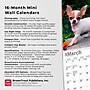 2026 BrownTrout Chihuahua Puppies 7" x 7" Monthly Wall Calendar (9798330702916)~#|#~13C3D322-8162-4BB1-8083BCF44109A524_sc7