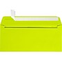 JAM Paper Self Seal #10 Booklet Envelope, 4 1/8" x 9 1/2", 50/Pack (LUX-10APW-L22-50)~#|#~13D035CD-EF8D-46BF-B5BA359B83029ACB_sc7