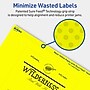 Avery Laser/Inkjet Rectangle Multipurpose Labels, 4" x 5", Neon Yellow, 20/Pack (94253)~#|#~13FD8DBC-6859-4AD6-83122DF6149B195C_sc7