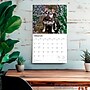 2026 BrownTrout For the Love of French Bulldogs 14" x 12" Monthly Wall Calendar (9798330707201)~#|#~140F5512-A5C0-490D-BD7A3C727F73BD6E_sc7