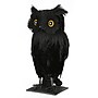 National Tree Company 11" Eerie Eyes Owl (OP77-XY014937-1)~#|#~141FDFDC-AB51-47D6-8A761BE0E6FDEE1C_sc7