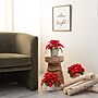 Nearly Natural 9-in Artificial Poinsettia Arrangements in White Ceramic Pots, 3/Set (P2040-S3)~#|#~1439D1E8-2B08-4E5A-B9984415B4DD22F3_sc7
