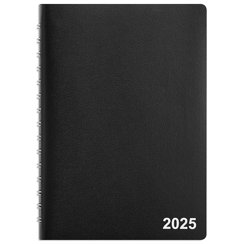 2025 Staples 5" x 8" Daily Appointment Book, Assorted Colors (ST12933-25) image 1