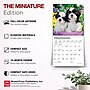 2027 BrownTrout Shih Tzu Puppies 7" x 7" Monthly Wall Calendar (9798330710089)~#|#~144A401C-9FC2-4A17-B61E607AACB4F5F9_sc7