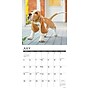 2026 Willow Creek Basset Hound Puppies 12" x 12" Monthly Wall Calendar (50088)~#|#~145A72A6-7A5D-49BD-9FD885152535493B_sc7