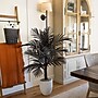 Nearly Natural Artificial Halloween Black Golden Cane Tree, 4' (T5140)~#|#~145B4810-D822-49C6-935D2E3E54940CB2_sc7