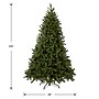 National Tree Company Downswept Douglas Fir Artificial Christmas Tree (PEDD1-503-65)~#|#~145D4CFE-433A-4669-8A7F5585CCD674C7_sc7