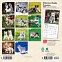 2026 BrownTrout Siberian Husky Puppies 7" x 7" Monthly Wall Calendar (9798330705597)~#|#~14713049-9DDD-49FB-ACE998050A5C932A_sc7
