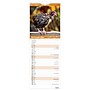 2026 BrownTrout Chickens 5.88" x 16.5" Monthly Wall Calendar (9798330702893)~#|#~148A5F4F-2698-4731-A517EDB9A74A13B3_sc7