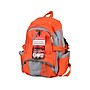 First Aid Only 209-Piece Shelter-in-Place Emergency Preparedness Backpack, Orange/Gray (91308)~#|#~1494A5C5-2E0C-4DD9-BC5C53A46EE9BF58_sc7