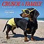 2027 Willow Creek Crusoe the Celebrity Dachshund 7" x 7" Monthly Wall Calendar (63972)~#|#~1494C007-CAFE-4969-ABE3A75BDD43FFFC_sc7