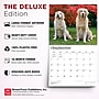 2027 BrownTrout For the Love of Golden Retrievers 14" x 12" Monthly Wall Calendar, Assorted Colors (9798330709267)~#|#~149C0672-1B5D-49D8-B9B4E79882ED5313_sc7