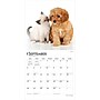2027 BrownTrout Kittens & Puppies 12" x 12" Monthly Wall Calendar (9798330711796)~#|#~14BA20B7-C75F-4B30-BBACE30EE3A9FA87_sc7