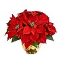 Nearly Natural Artificial Poinsettia Arrangement (1963)~#|#~14BCD3E8-1375-42E9-9AA349E7A3553DEF_sc7