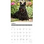 2027 Willow Creek Scotties 12" x 12" Monthly Wall Calendar, Assorted Colors (62203)~#|#~14C9E4A9-B3D0-405A-8C08C2BC50D8BDB4_sc7