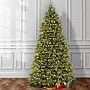 National Tree Company Dunhill Fir Artificial Christmas Tree (DUH3-D30-100)~#|#~14D1AC81-8B0A-4E49-B149EE5A2D0BFC48_sc7