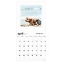 2027 TF Publishing Best Day Ever: Dogs 12" x 12" Monthly Wall Calendar (27-1001)~#|#~14DCA3BE-BE6A-423C-B46D56AF2522441E_sc7