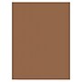 Prang 9" x 12" Construction Paper, Brown, 50 Sheets/Pack, 10 Packs/Bundle (PAC6703-10)~#|#~150148ED-695F-401C-BEF7603A14CFFF1F_sc7