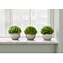 Monarch Specialties Inc. 5" Artificial Plant in Pot, 3/Set (I 9589)~#|#~150A3035-F63B-4B90-BCB7E1360DC0E1D7_sc7