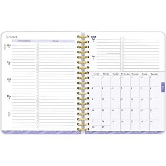 2023-2024 Plato Bonnie Marcus 6" x 7.75" Academic & Calendar Weekly Planner, Multicolor (9781975457389)