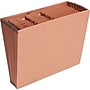 Staples Heavy Duty Reinforced Accordion File, Monthly Index, 12-Pocket, Letter Size, Brown (595369)~#|#~1519691F-FD78-4146-B2E843E86F5F4E23_sc7