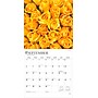 2026 BrownTrout Roses 12" x 12" Monthly Wall Calendar (9798330705382)~#|#~15196E75-9001-424F-B04D83AA77405965_sc7