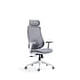 Raynor Group Torque Ergonomic Fabric/Mesh Swivel Manager Chair, Grey/White (TORQUE-WF-GRY )~#|#~151C28C1-F862-4B02-9589D9833D88E711_sc7