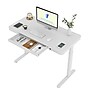 FlexiSpot EG9 48"W Electric Adjustable Glass Top Standing Desk, White (EG9W-E)~#|#~154627BB-C704-4296-8018FBC6F11C49B5_sc7