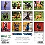 2026 Willow Creek Miniature Pinschers 12" x 12" Monthly Wall Calendar (51931)~#|#~156BF62E-7B5D-4615-8447608A449D256F_sc7