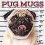 2027 Willow Creek Pug Mugs 7" x 7" Monthly Wall Calendar, Assorted Colors (64160)~#|#~158F8EAD-FDA6-4530-BD4B55F31B502B3E_sc7