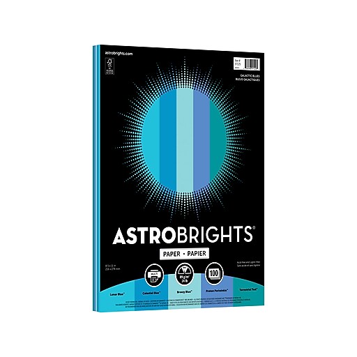ASTROstuffs LOGO PAPER BAG ロゴペーパーバッグ ラージ (ASTRO