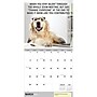 2026 TF Publishing Desk Dogs 12" x 12" Monthly Wall Calendar (26-1052)~#|#~15AF8BC6-66F8-4493-A02EA84DE824D164_sc7