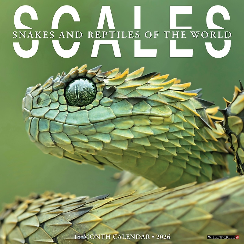 2026 Willow Creek Scales 12" x 12" Monthly Wall Calendar (56110) image 1