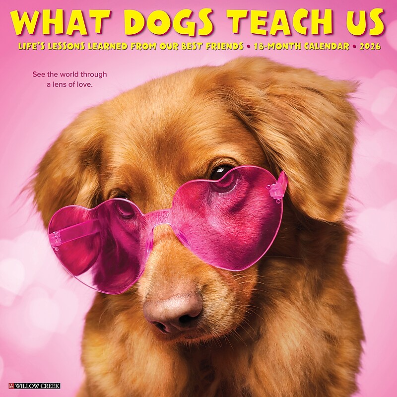 2026 Willow Creek What Dogs Teach Us 12" x 12" Monthly Wall Calendar (53164) image 1