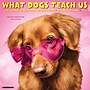 2026 Willow Creek What Dogs Teach Us 12" x 12" Monthly Wall Calendar (53164)~#|#~15CDFC8D-BC35-4AB5-83695D24F5E56CBE_sc7